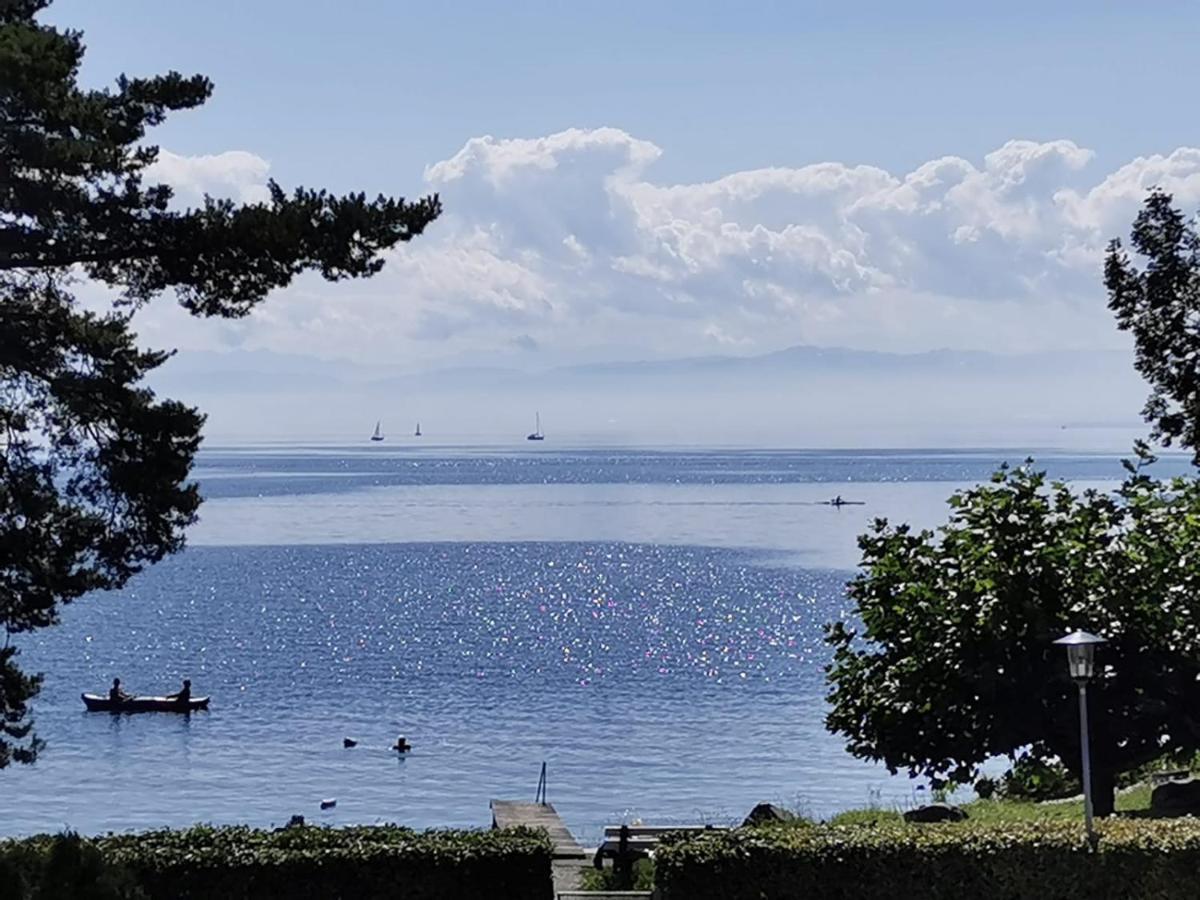 Gaestehaus Zum Landesteg Immenstaad am Bodensee Extérieur photo