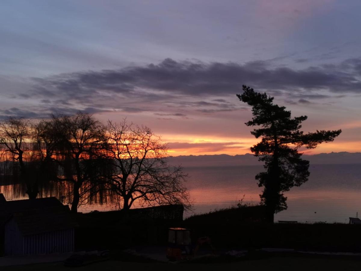 Gaestehaus Zum Landesteg Immenstaad am Bodensee Extérieur photo