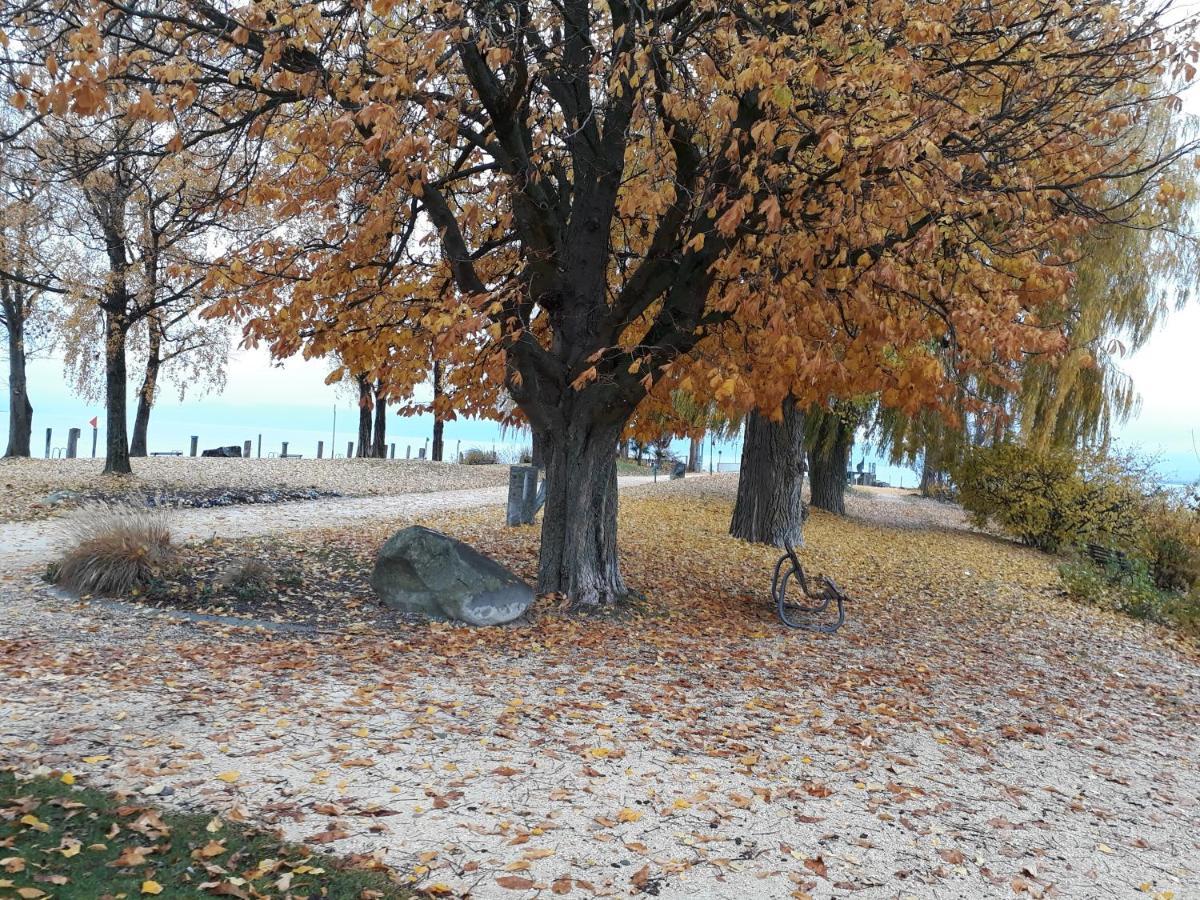 Gaestehaus Zum Landesteg Immenstaad am Bodensee Extérieur photo