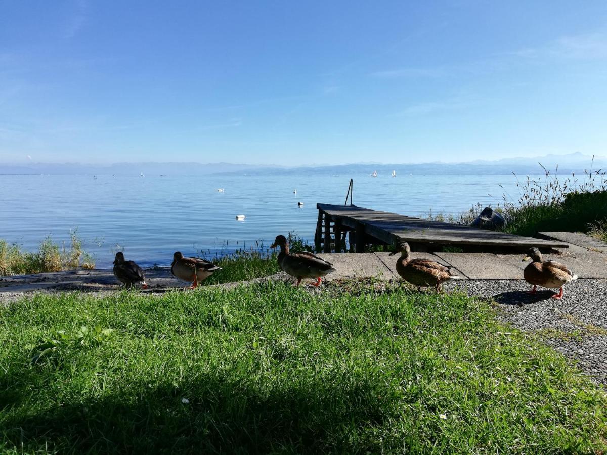 Gaestehaus Zum Landesteg Immenstaad am Bodensee Extérieur photo